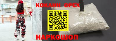 сатива Кузнецк