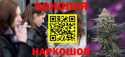 сатива Кузнецк