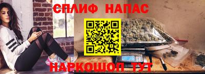 сатива Кузнецк